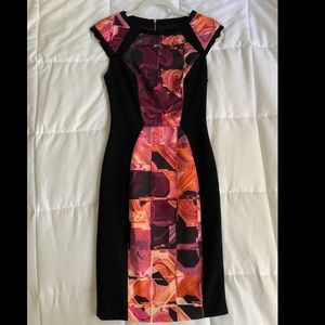 Ted Baker, Size 1, NWT dress.